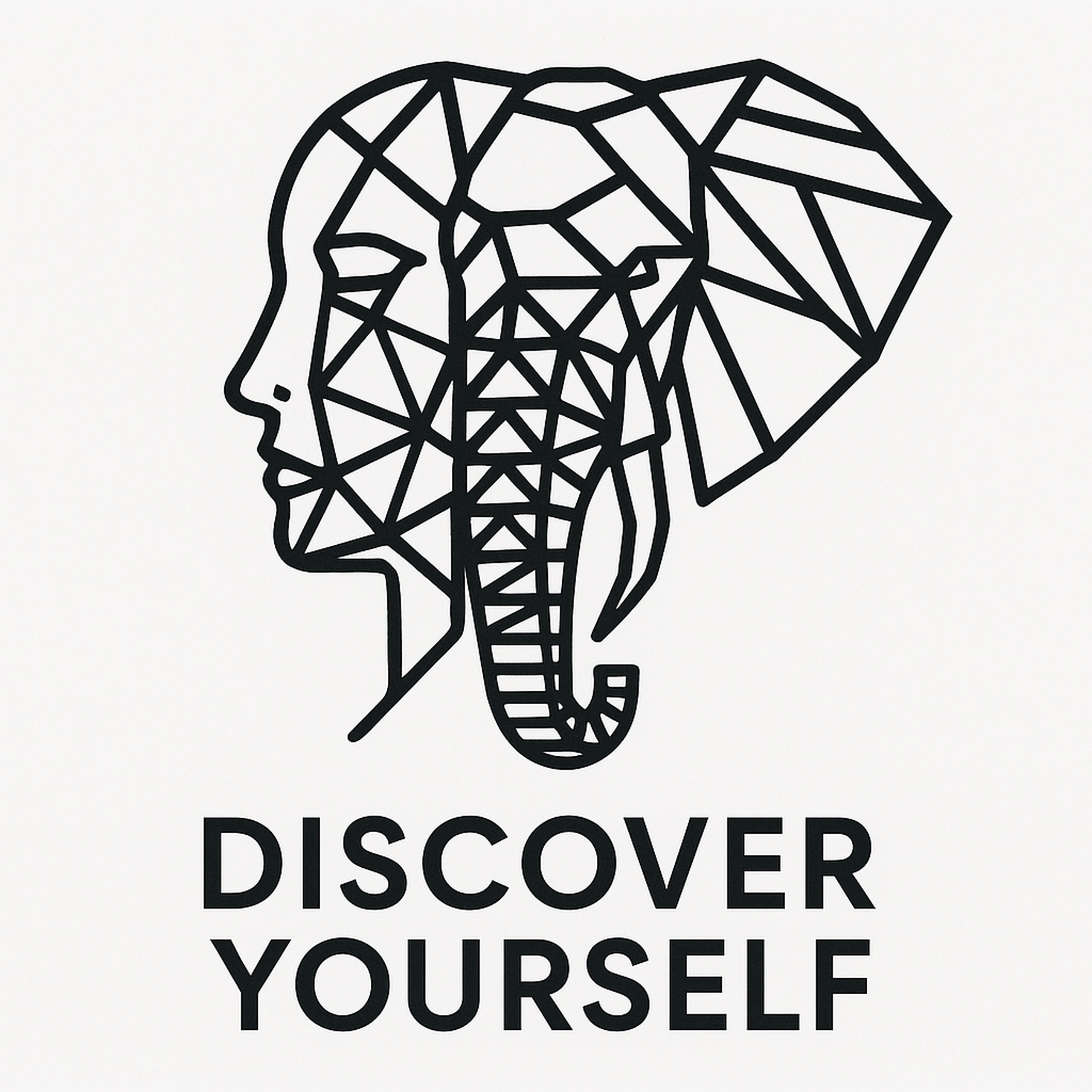 DISCOVER YOURSELF HOLDINGS